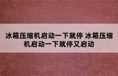 冰箱压缩机启动一下就停 冰箱压缩机启动一下就停又启动